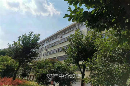 出售泰安堰北社区2室2厅1卫80平简单装修